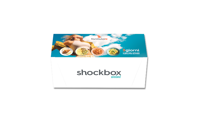 shockbox mini
